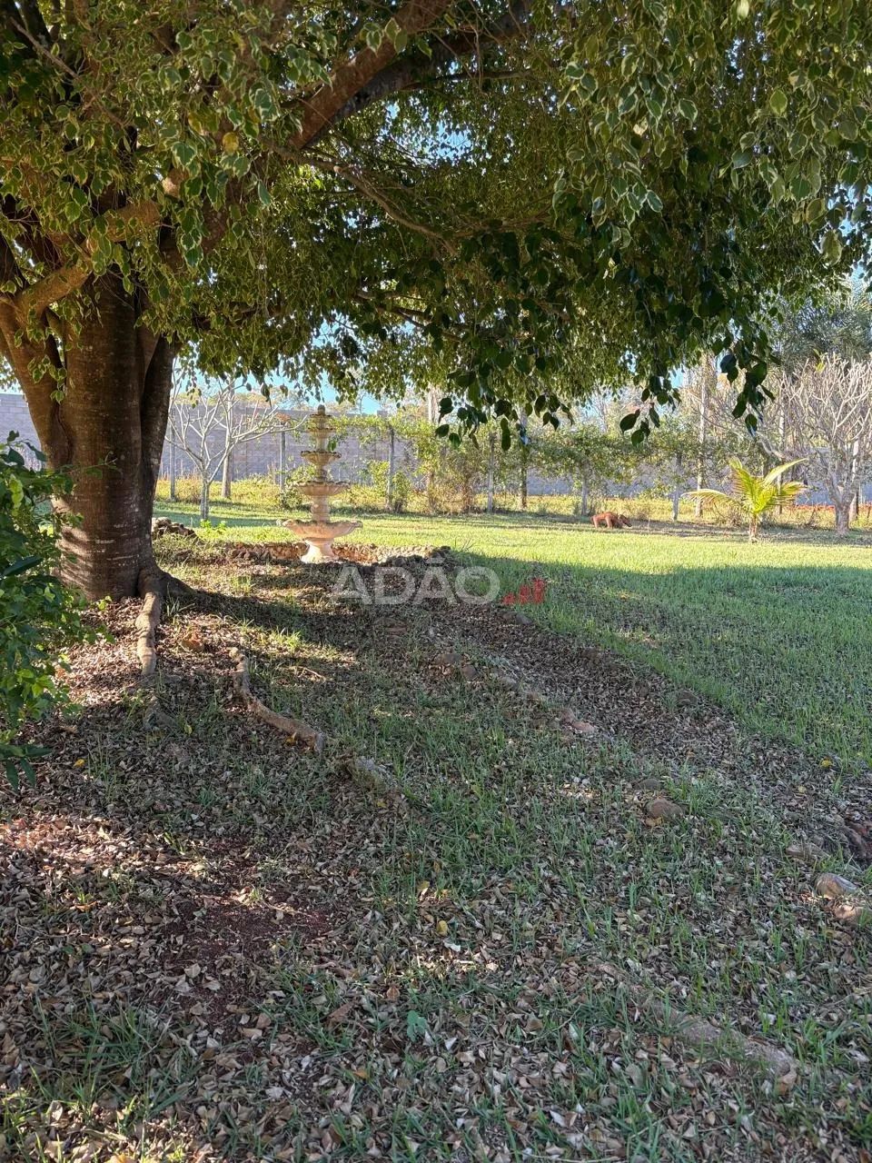 CHACARA TERESOPOLIS GOIAS - Foto 4