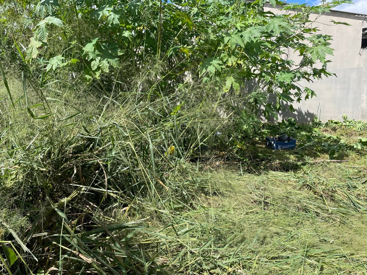 Rocagem de terrenos e chácaras e pequenas podas  - Foto 2