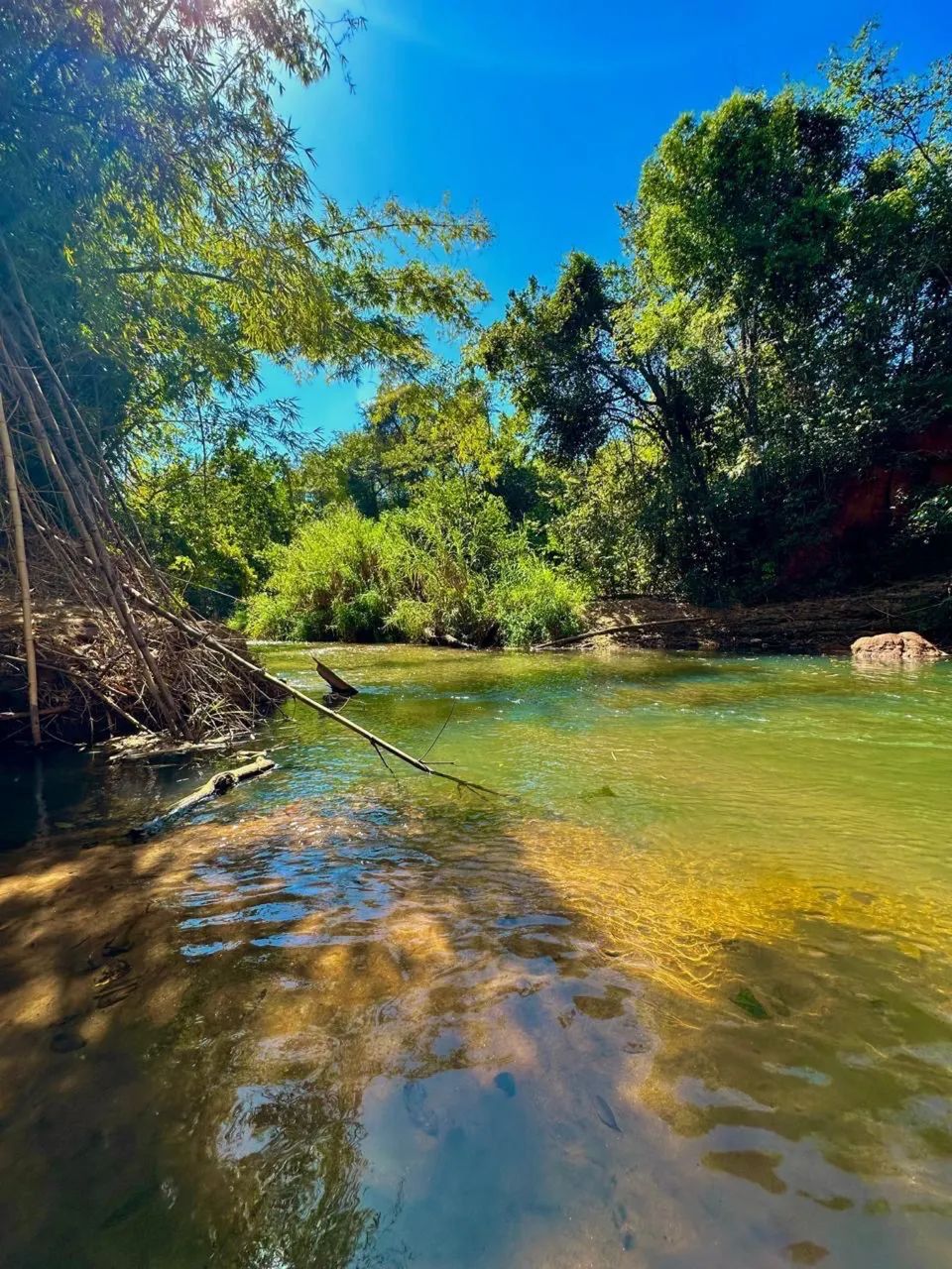 Chácara a venda próximo a Goiânia  - Foto 3