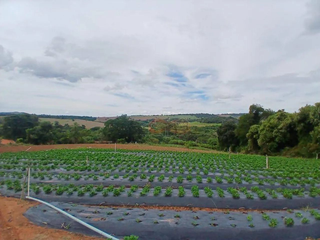 Sítio Rural / Dos Silva