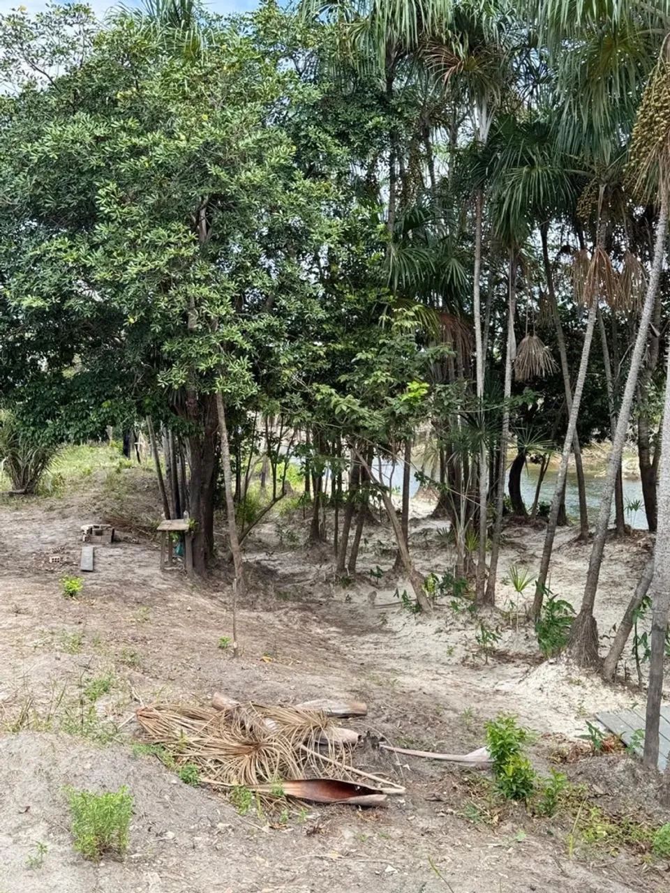 LOTE REGIÃO DE ALTO ALEGRE RIO AU AU. - Foto 5