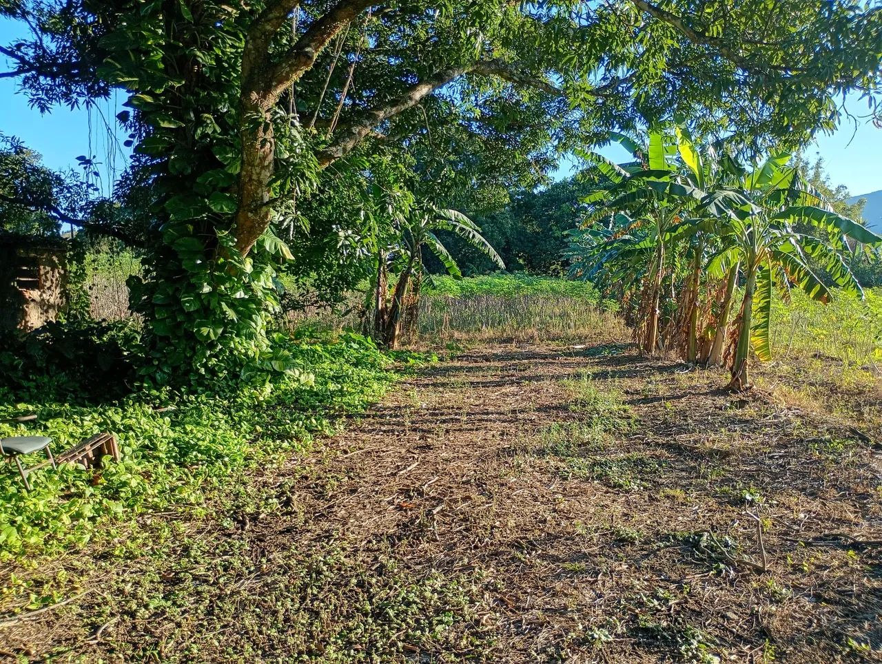 SÍTIO - JACERUBA - RJ - Foto 3