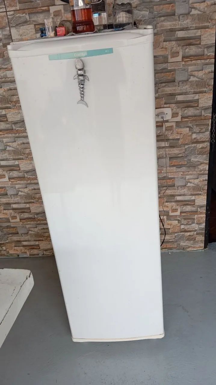 Freezer vertical 