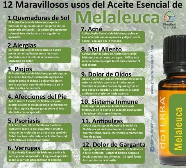 Melaleuca/oleo essencial/doTERRA 15ml - Foto 3