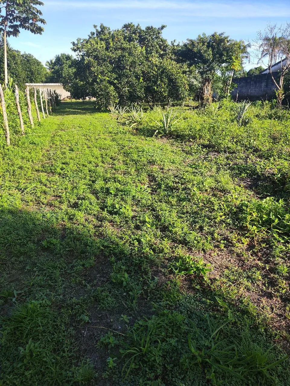 Vendo e troco - Foto 5