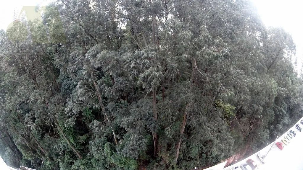 Apartamento em Chacará AGRINDUS - Taboão da Serra - Foto 2