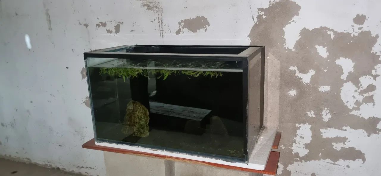 Vende se aquário 225 litros  - Foto 5