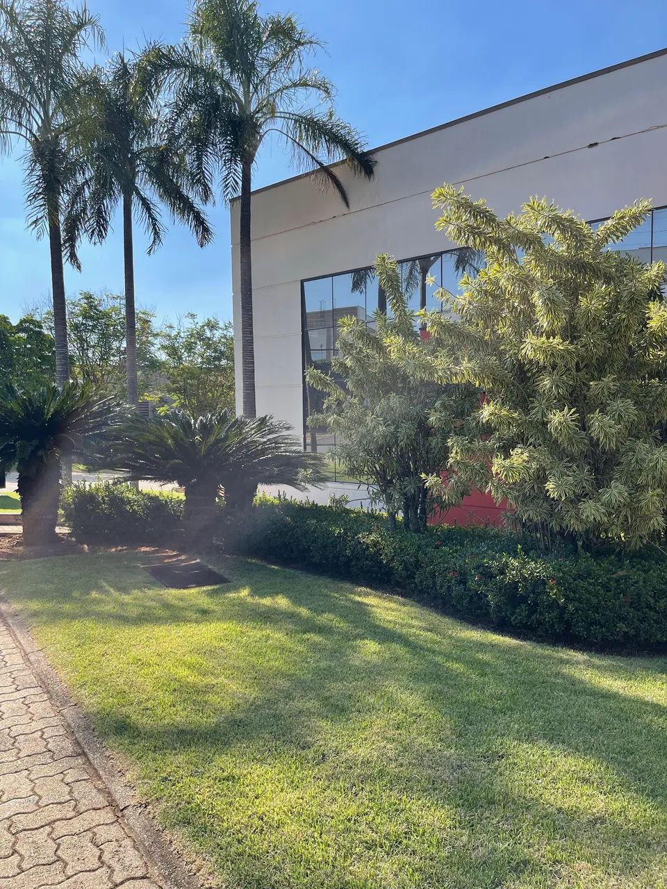 Vendo empresa de jardinagem  - Foto 2