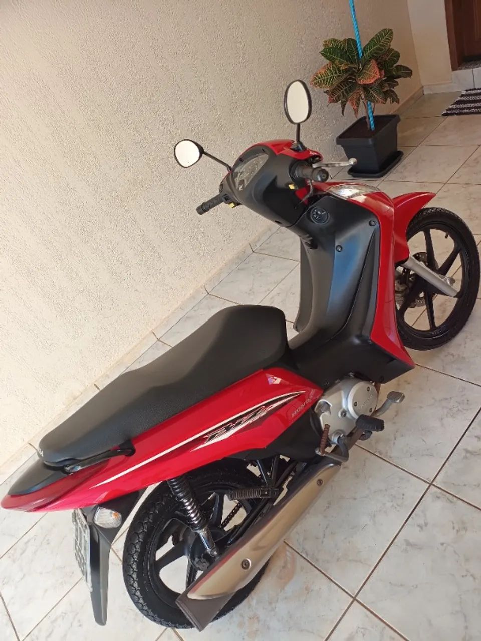 Biz EX flex - Foto 2