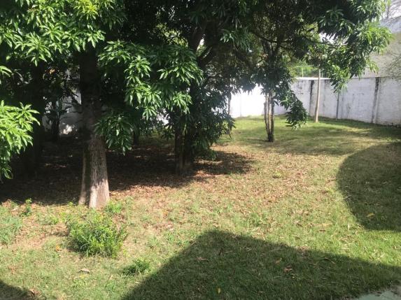 Terreno à venda, 512 m² por r$ 1.100.000,00 - jardim são caetano - são caetano do sul/sp