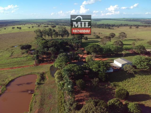 Fazenda dupla apitidão 200 Alqueires ( 968 hectares ) Itajá-GO - Foto 16