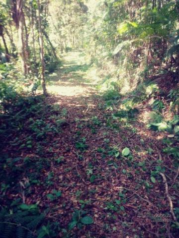 Terreno com 36.300 m² com registro de imóveis de frente para o asfalto - Foto 2