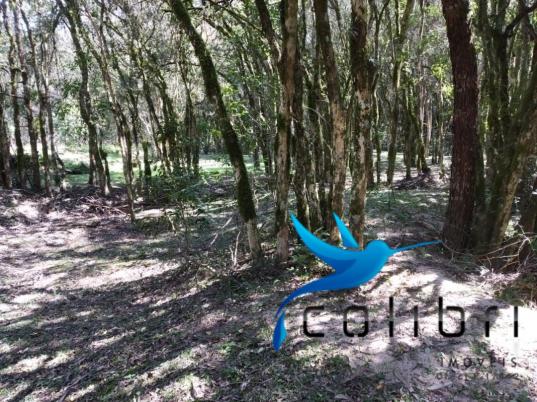 Chácara pronta para lazer ou moradia em agudos do sul - Foto 16
