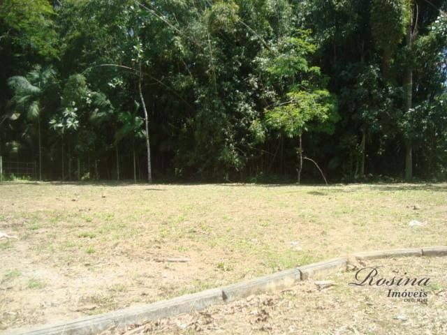 Òtimos terrenos para investimento em morretes - Foto 12