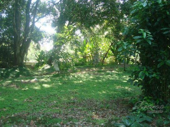 Terreno à venda, 399 m² por r$ 93.000,00 - nucleo do rio pinto - morretes/pr - Foto 13
