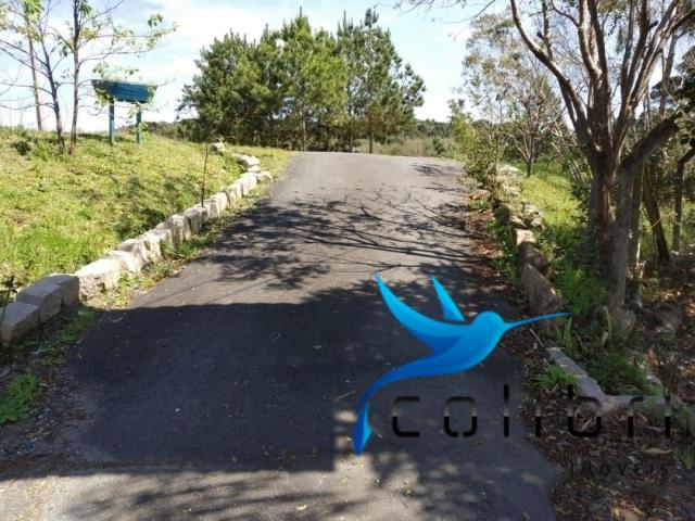 Chácara pronta para lazer ou moradia em agudos do sul - Foto 13