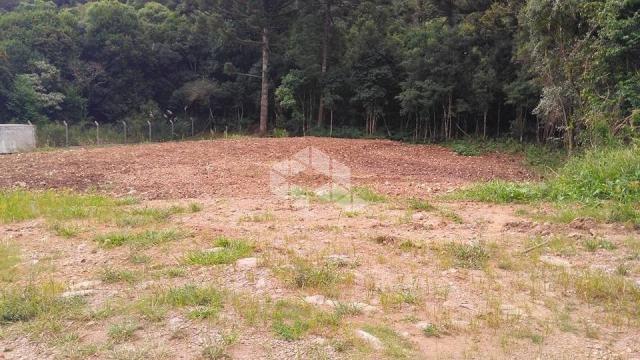 Terreno à venda em Centro, Garibaldi cod:9908614 - Foto 3