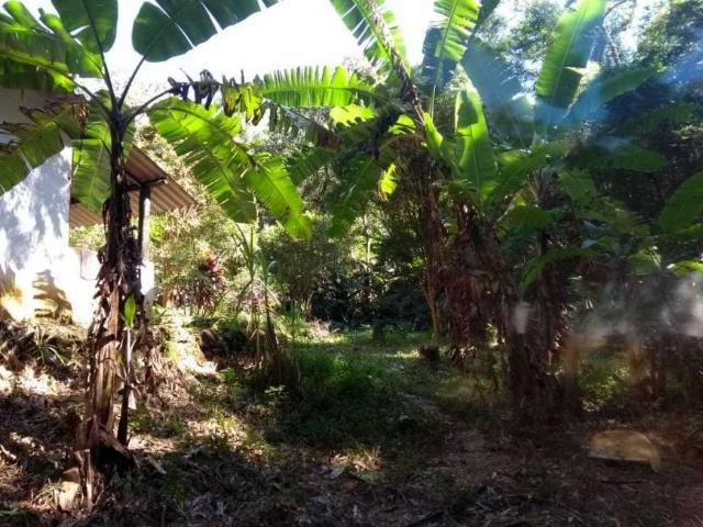 Tapera - Chácara com 1000 m² com uma casa com quarto - Foto 9