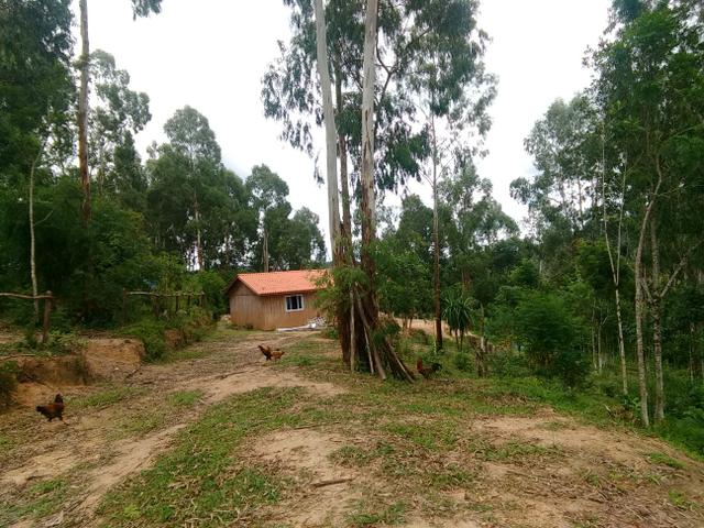Troco ou vendo Chácara 13.000m2 - Foto 11