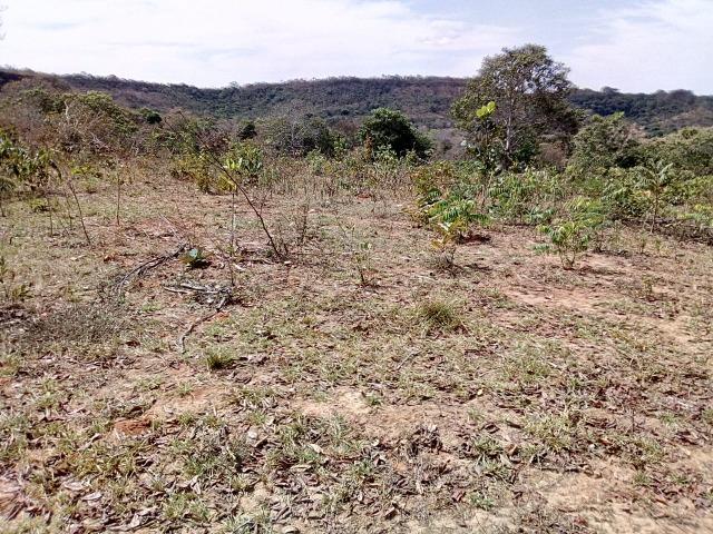 Venda de Fazenda, 650 hectares, Guiratinga - MT - Foto 6