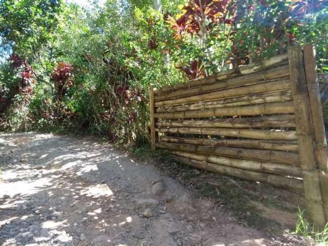 Tapera - Chácara com 1000 m² com uma casa com quarto - Foto 10