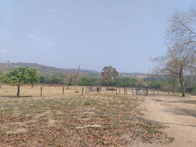 Vende-se fazenda em Cuiabá - Foto 9