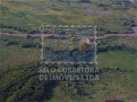 Execelente Pesqueiro em Barão Do Melgaço, Pantanal-MT - Foto 2