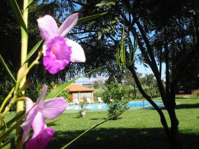 Chácara à venda em Zona rural, Brodowski cod:V133838 - Foto 12