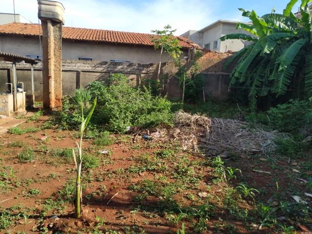 Vendo um lote em Inhumas-GO - Foto 9