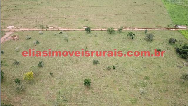 Sítio meio alqueire - Entre Uberlândia e Monte Alegre - Foto 2