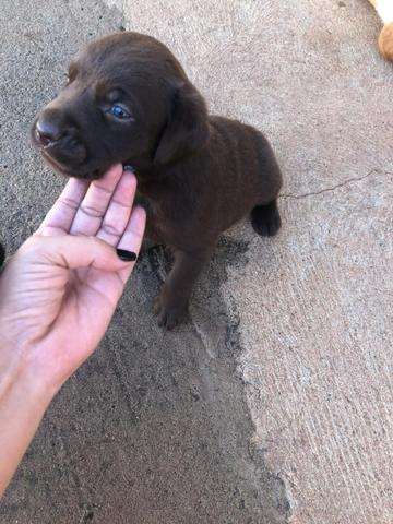 Vendo - Foto 2