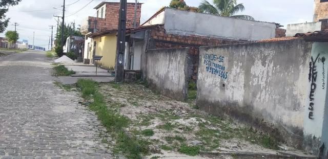 Terreno - Foto 5