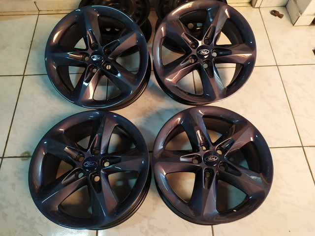 Rodas aro 16 Focus