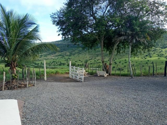 Fazenda em Anguera 35km de Feira de Santana obs: aceito caminhão, carro parte do pagamento