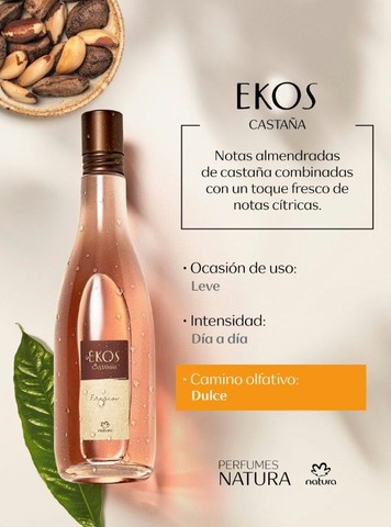 Colônia Ekos Frescor de Castanha Natura ( NOVO) - Beleza e saúde - Santa  Amélia, Belo Horizonte 1170781549 | OLX