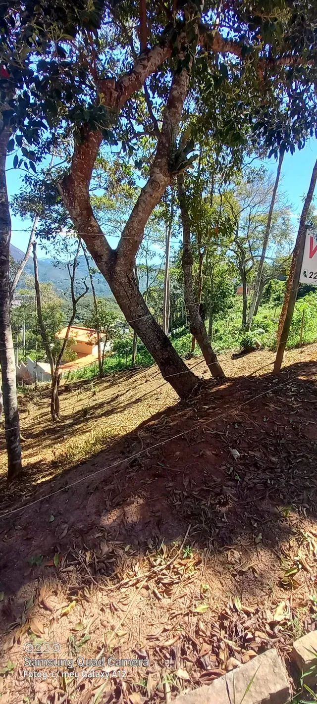 Terreno Braunes - Foto 4
