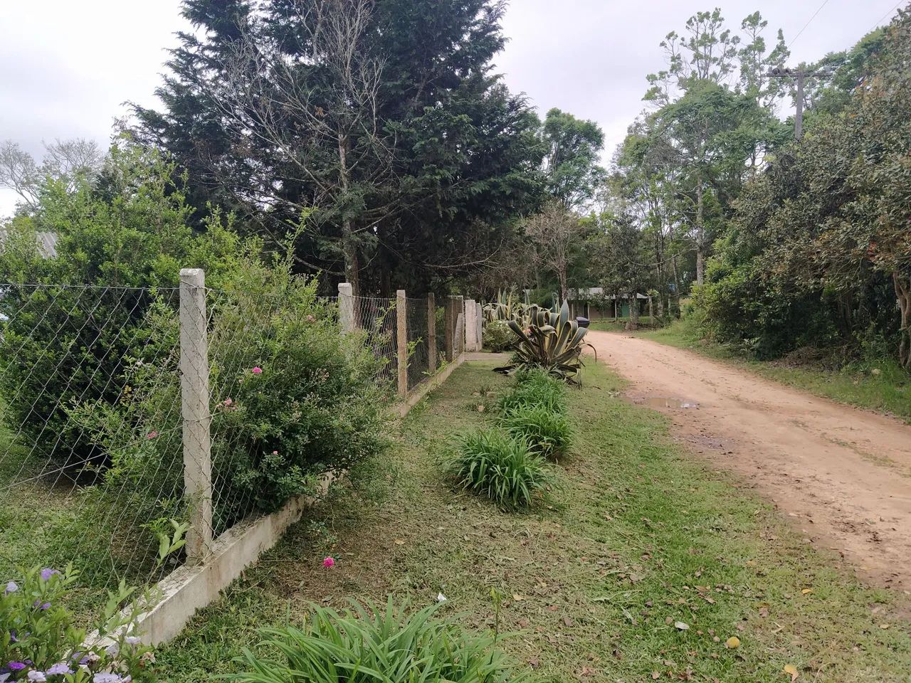 Chácara são Lourenço  - Foto 5