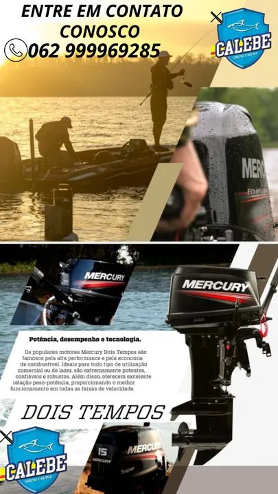 Motor de popa Mercury