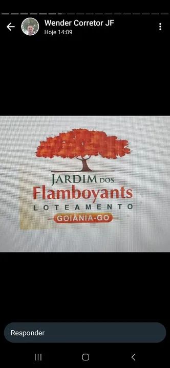 foto - Goiânia - Jardim dos Flamboyants