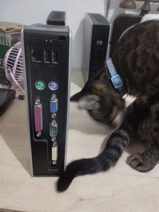 Thin Client hp T5145 (mini PC) - Foto 2