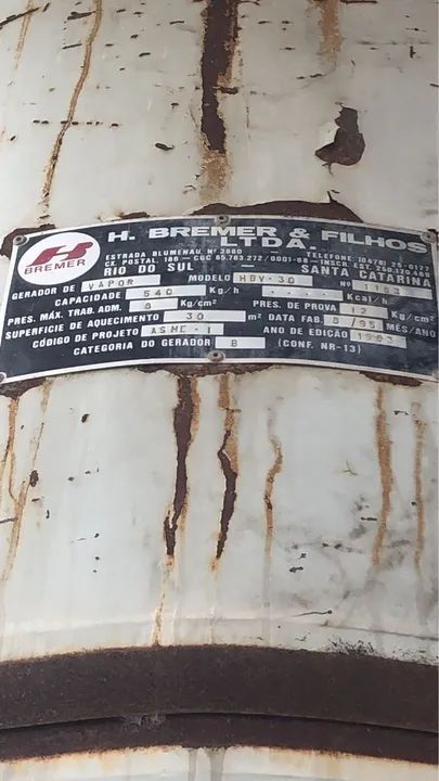 Caldeira Lenha Bremer 540kg/h