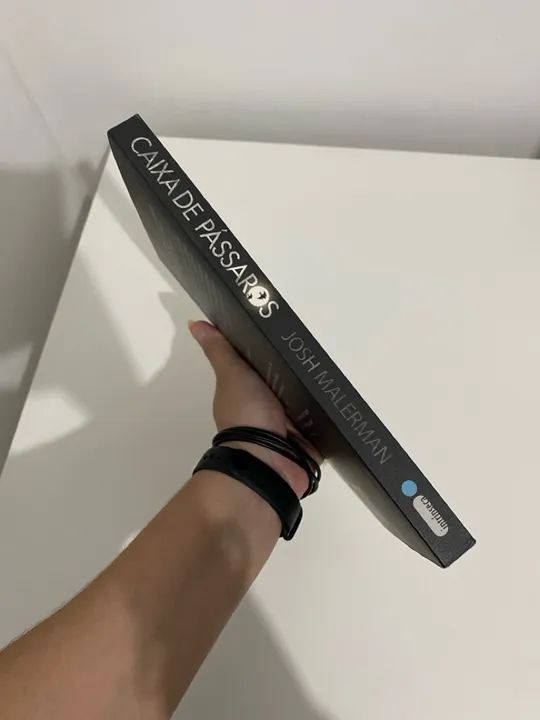 Caixa de Pássaros - Thriller de Suspense - Foto 3