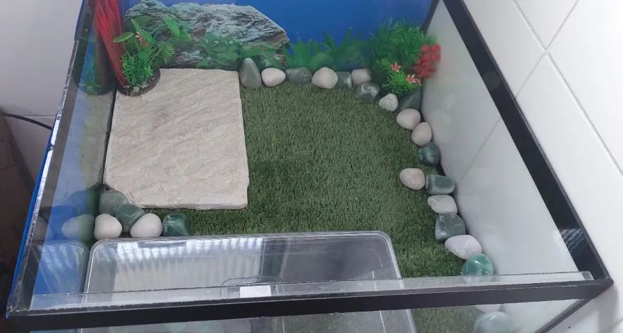 Terrário para Tartarugas
