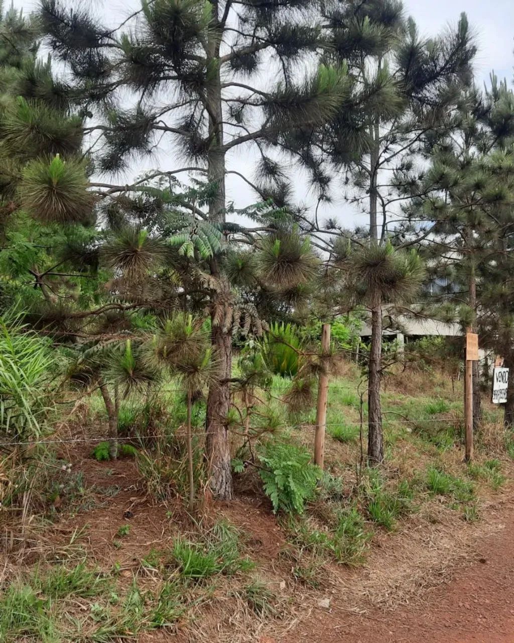 foto - Betim - Filadélfia