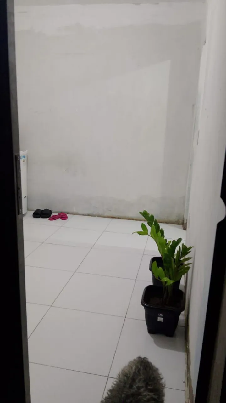 Vendo essa casa , localizada Ouro verde rua das acácias !