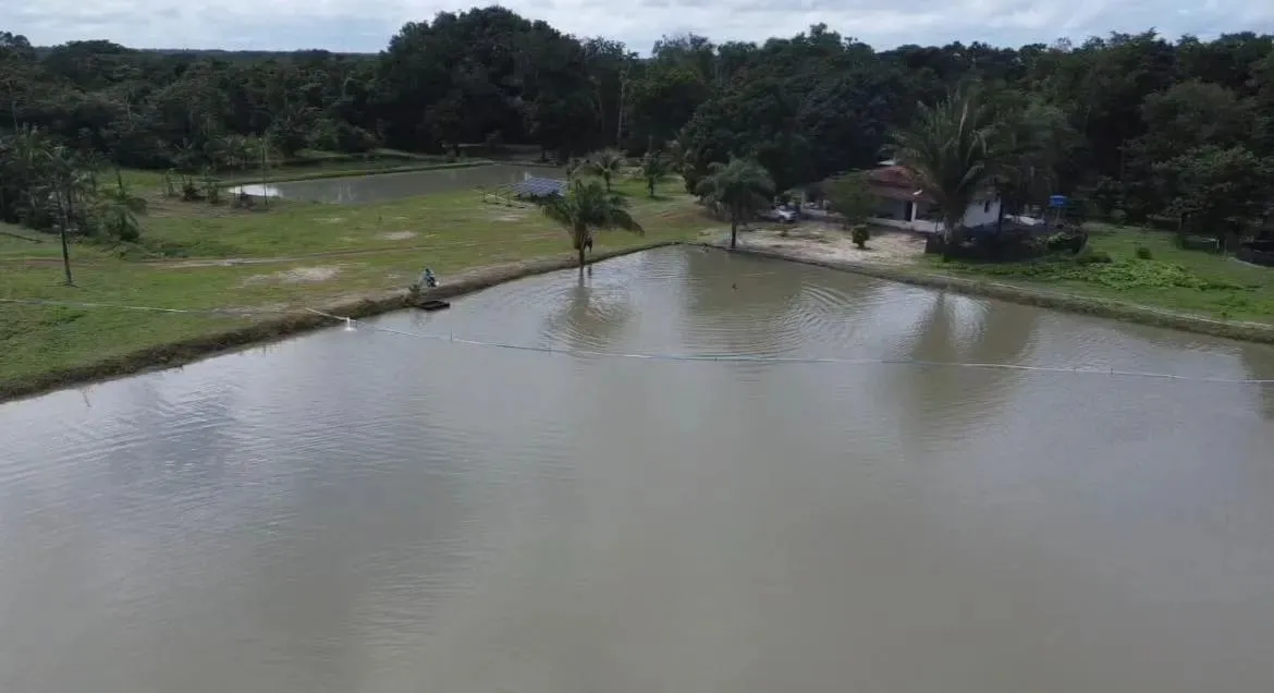 VENDO PROPRIEDADE EM MORROS- MA, 32 Ha . Área:* 32 hectares