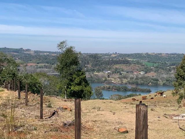 Sitio 6,4 Ha Palmitos - SC - Ao lado ponte rio Uruguay - Foto 3