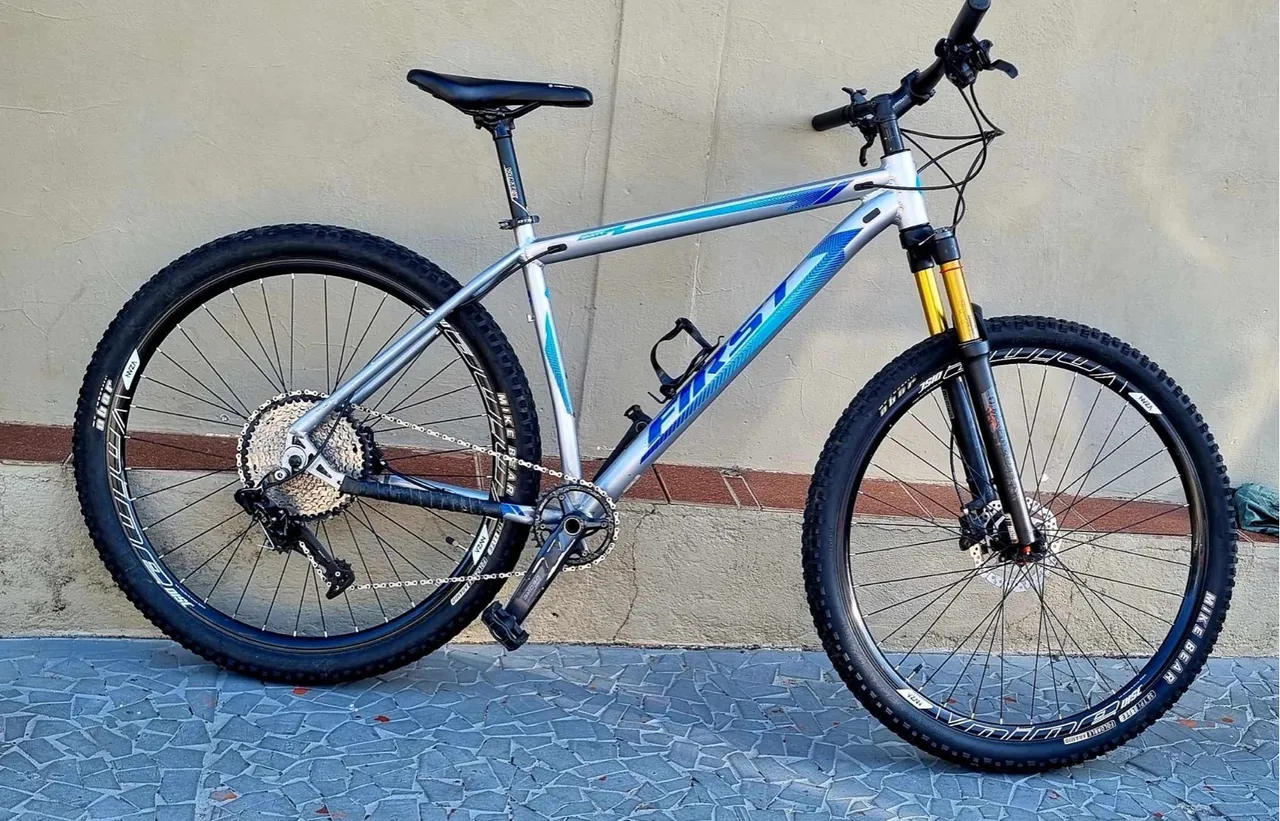 Bicicleta first- aro 29