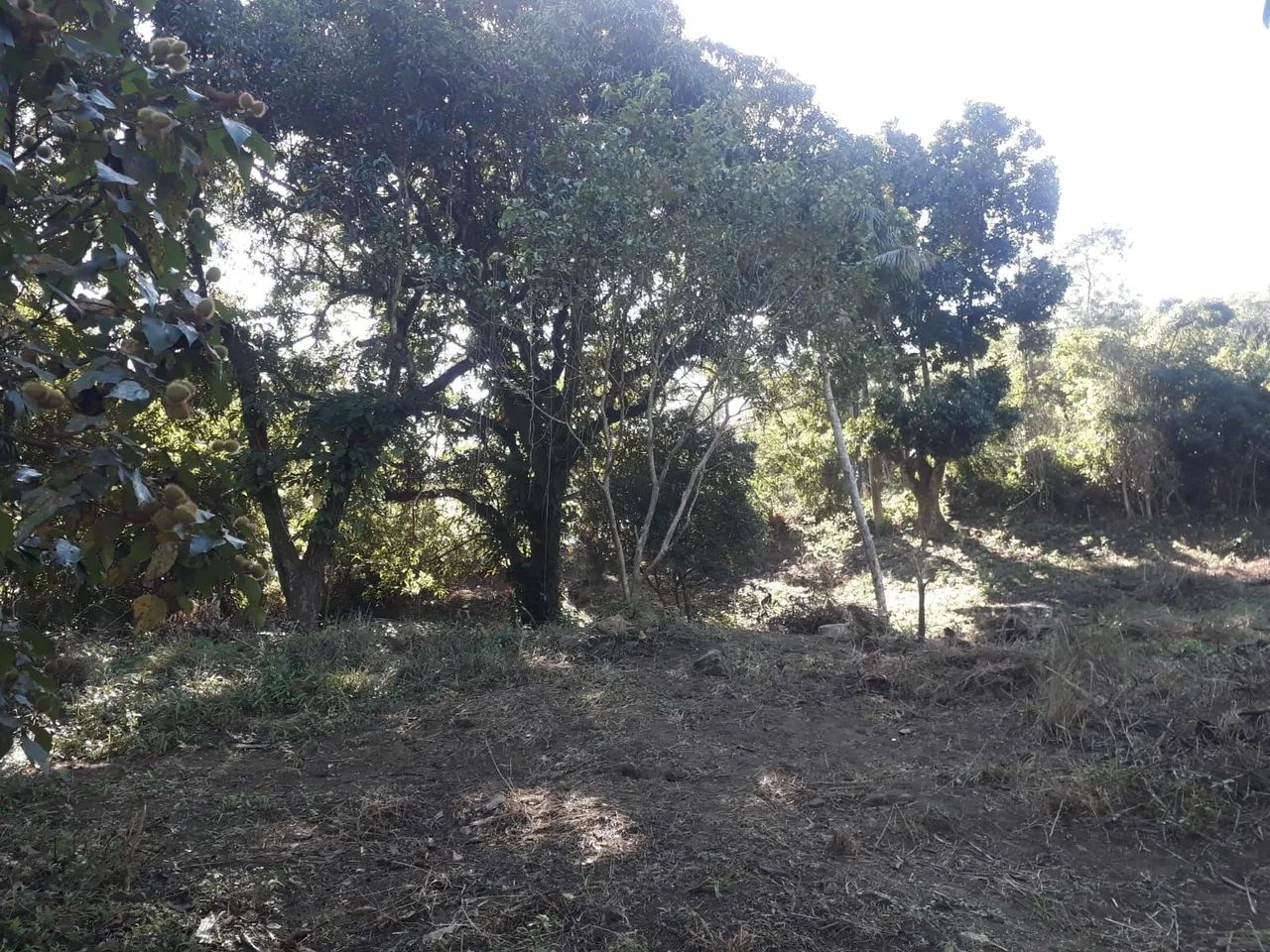 Terreno  bairro Luiz Camões  - Foto 2