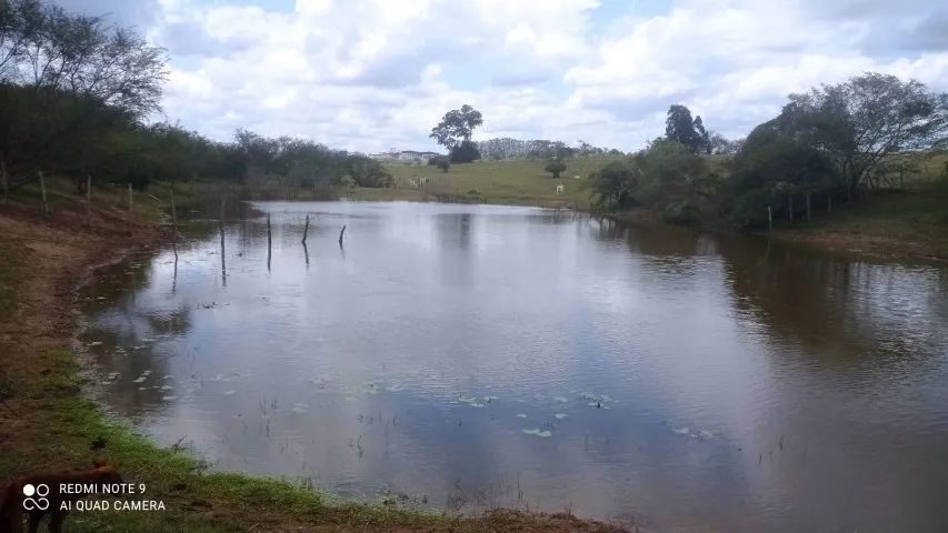 FAZENDA EM SÃO GONÇALO - 50 TAREFAS - Foto 7